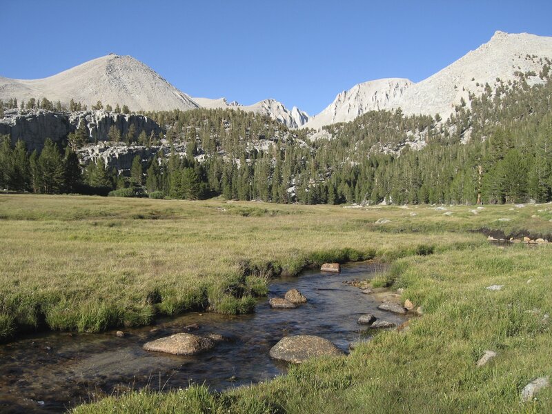 Mountain Stream in Meadow