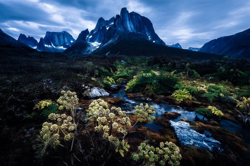 Mountain Stream in Tundra