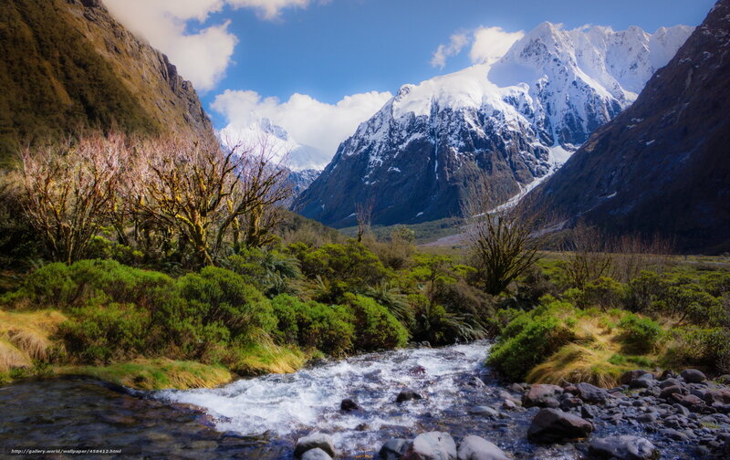 Mountain Stream in Valley — Blue, Serene, Afternoon, Photograph, Snow-capped Mountains