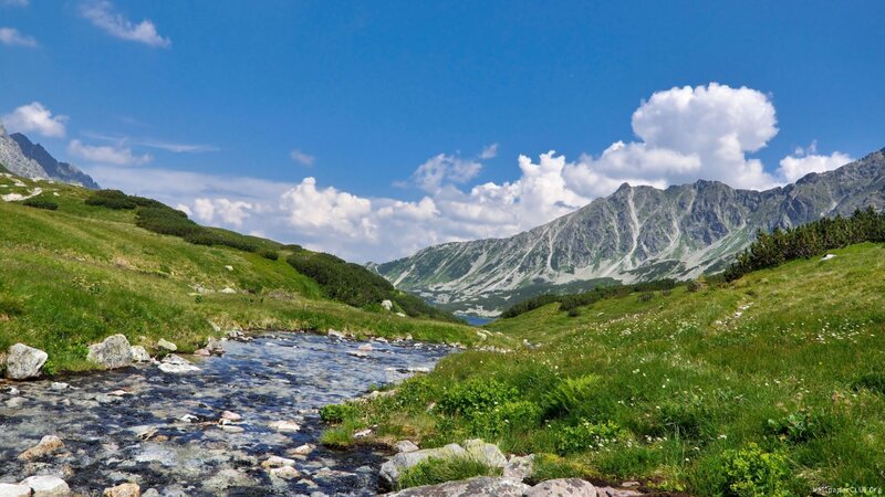 Mountain Stream in Valley — Blue, Serene, Afternoon