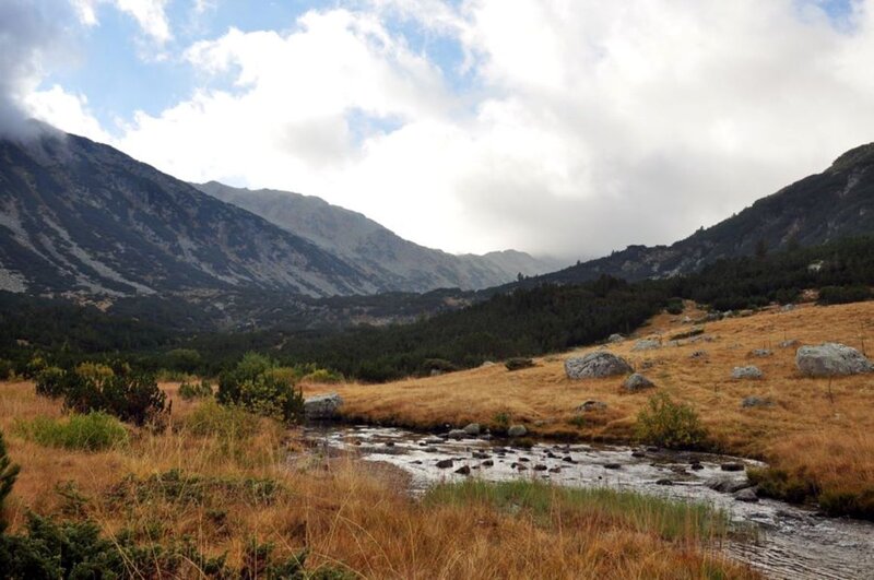 Mountain Stream in Valley — Brown, Serene