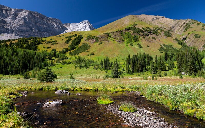 Mountain Stream in Valley — Green, Serene, Afternoon, Photograph, Mountains, Trees, River