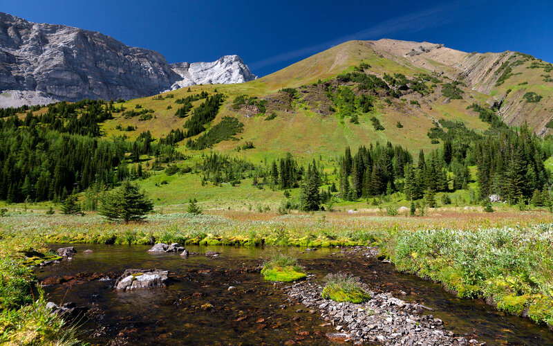 Mountain Stream in Valley — Green, Serene, Afternoon, Photograph, Mountains, Trees