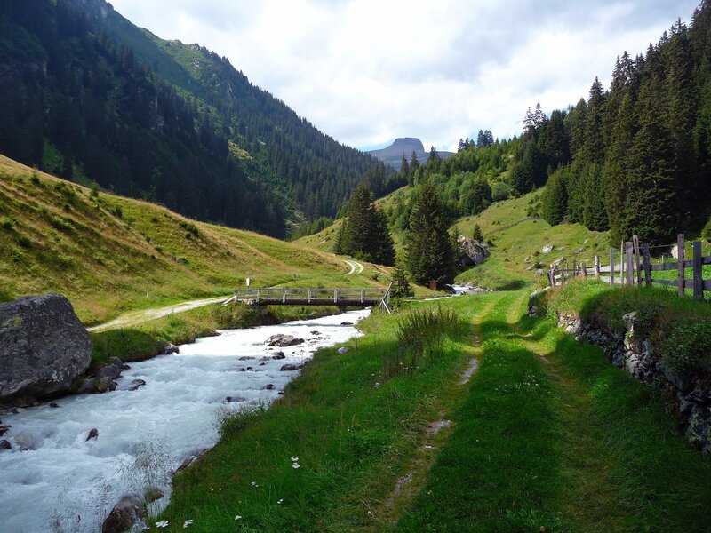 Mountain Stream in Valley — Green, Serene, Afternoon, Photograph, River, Bridge, Forest