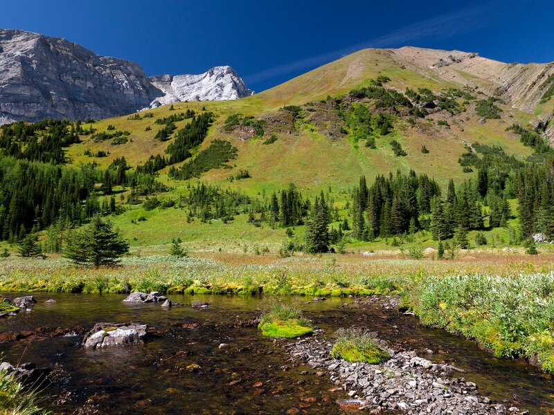 Mountain Stream in Valley — Green, Serene, Afternoon, Photograph, River, Trees, Mountains