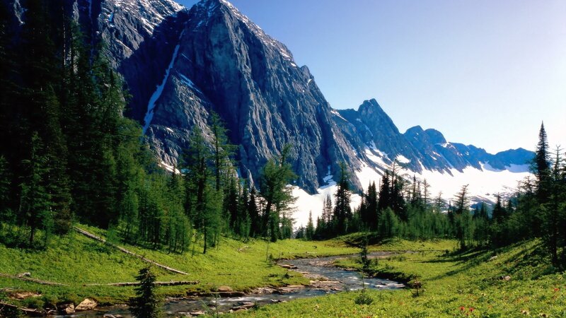Mountain Stream in Valley — Green, Serene, Afternoon, Photograph, Trees, Snow