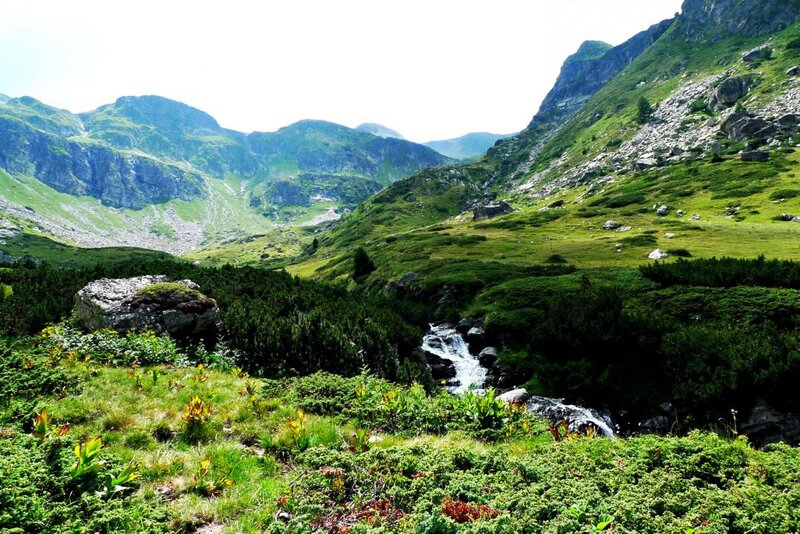 Mountain Stream in Valley — Green, Serene, Afternoon