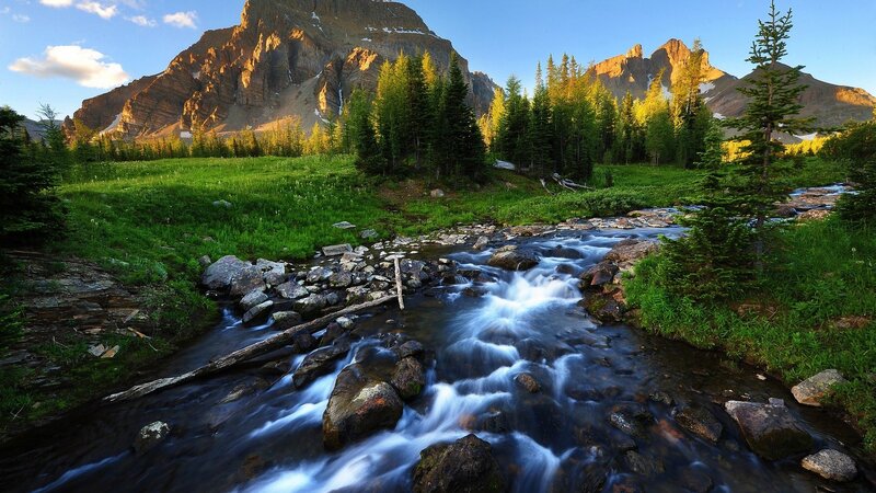 Mountain Stream in Valley — Green, Serene, Morning, Photograph, Mountains, Trees