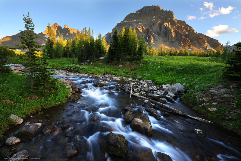 Mountain Stream in Valley — Green, Serene, Morning, Photograph, Trees, Rocks