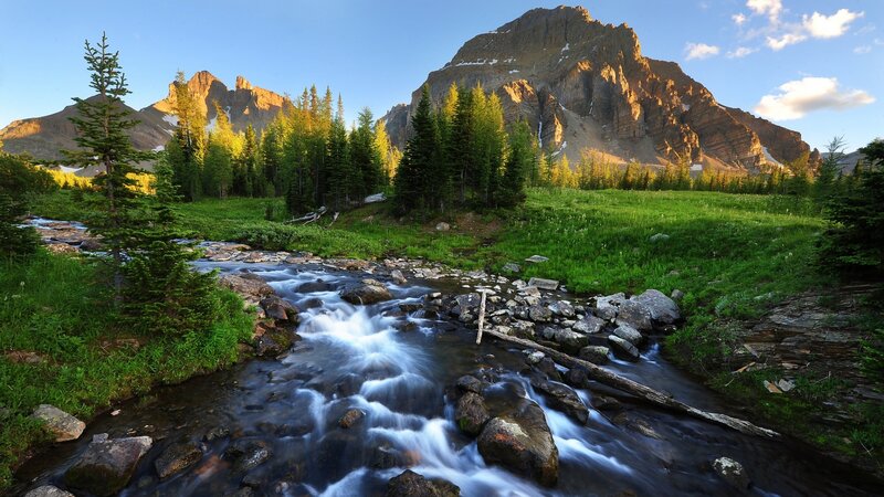 Mountain Stream in Valley — Green, Serene, Morning, Photograph, Trees