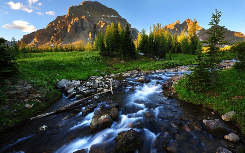 Mountain Stream in Valley — Green, Serene, Morning