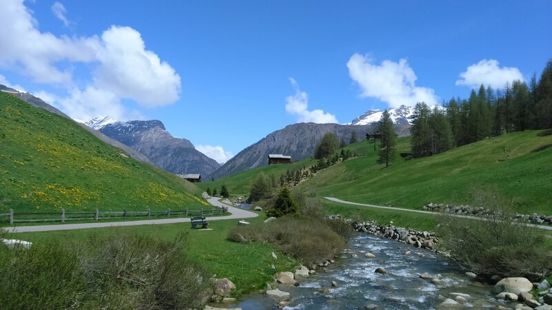 Mountain Stream in Valley — Green, Serene, Summer, Photograph, River