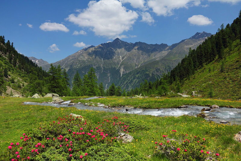 Mountain Stream in Valley — Green, Serene, Summer, Photograph