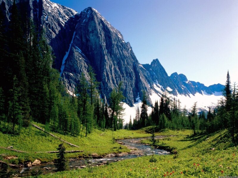 Mountain Stream in Valley — Green, Serene, Summer, Photograph, Trees