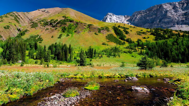 Mountain Stream in Valley — Green, Serene, Summer