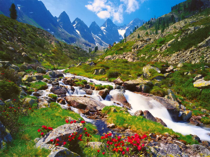 Mountain Stream in Valley — Green, Serene