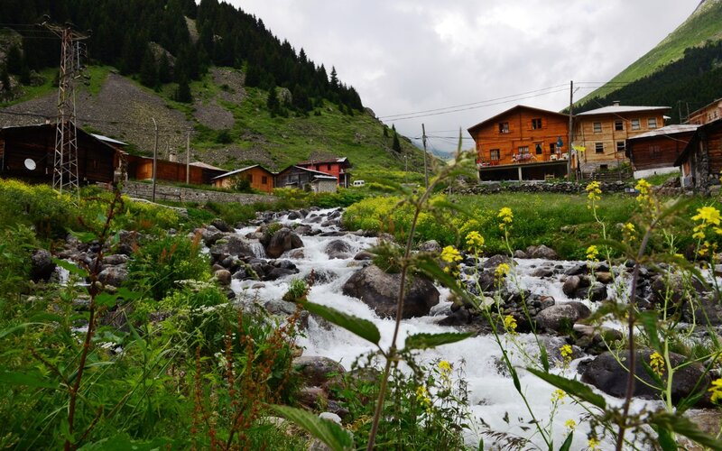 Mountain Stream in Village — Green