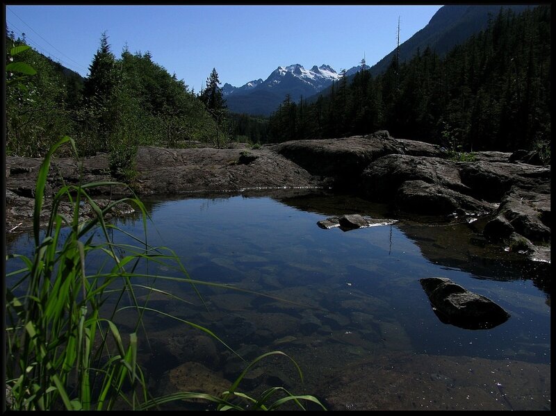 Mountain Stream Pool