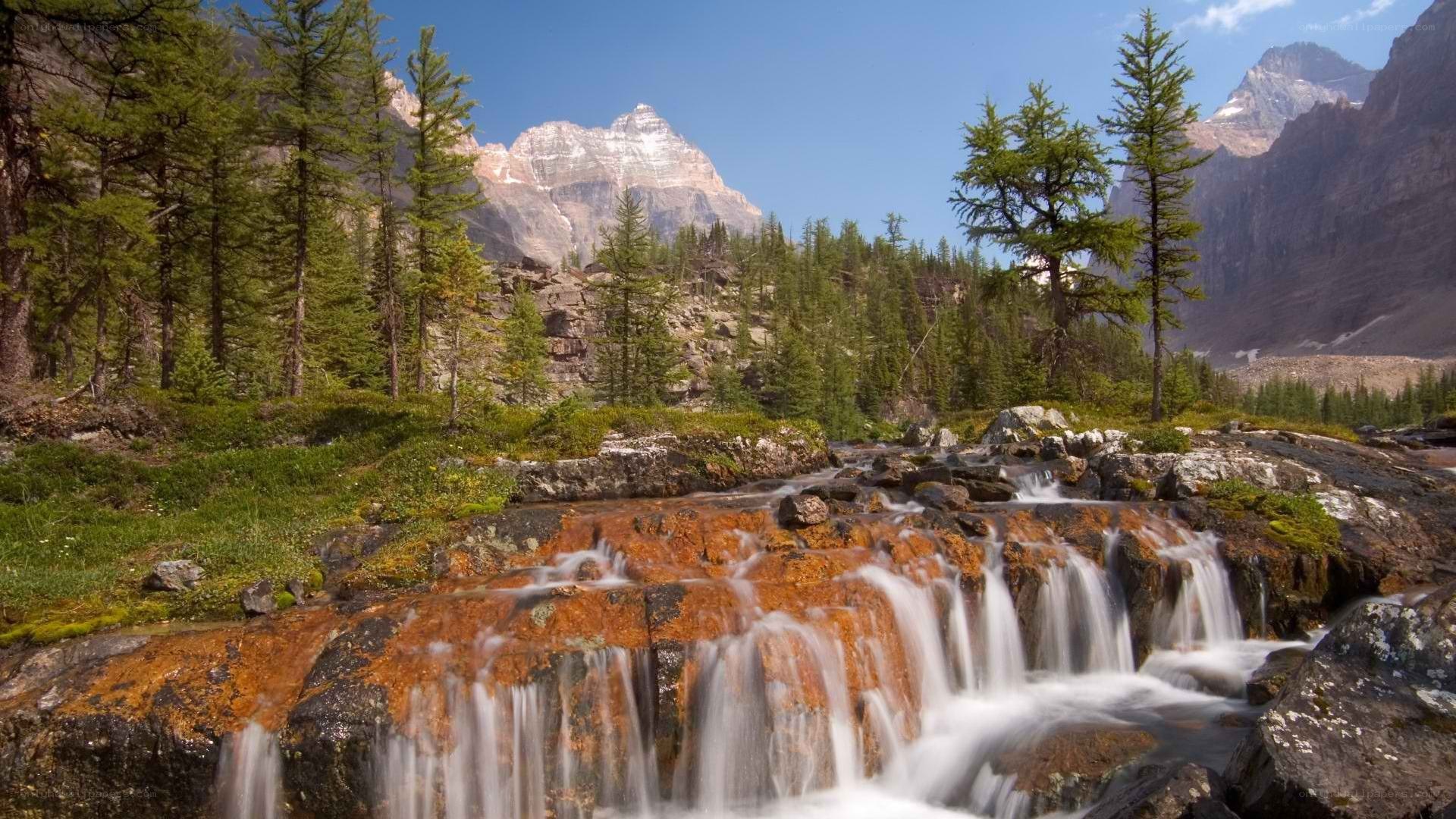 Mountain stream waterfall