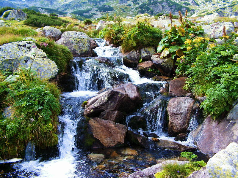 Mountain Stream Waterfall — Green, Serene, Afternoon