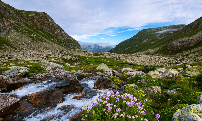 Mountain Stream with Flowers — Green, Serene, Summer