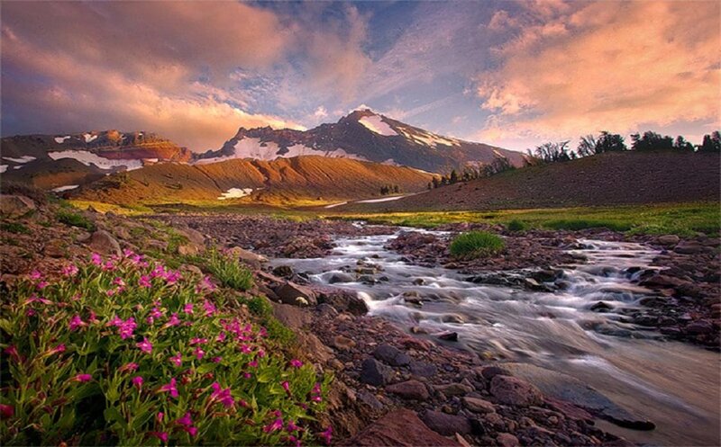 Mountain Stream with Flowers — Green