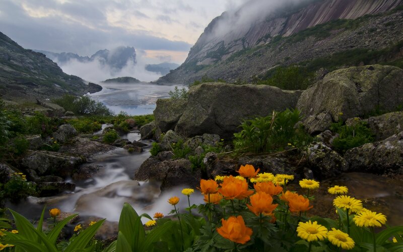 Mountain Stream with Flowers — Orange