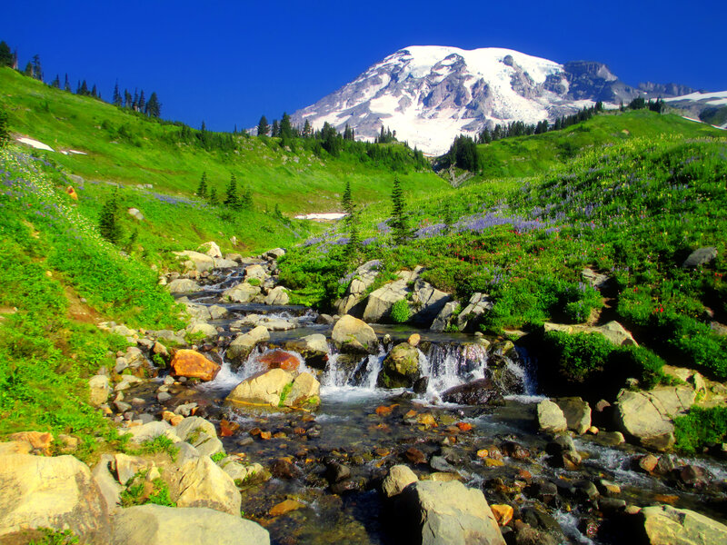 Mountain Stream with Waterfall — Green, Serene