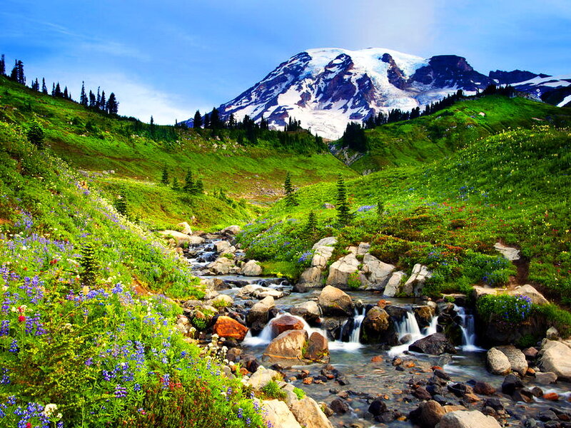 Mountain Stream with Waterfall — Green