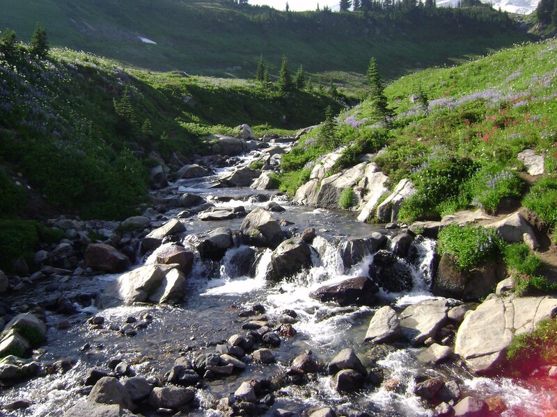 Mountain Stream with Waterfalls