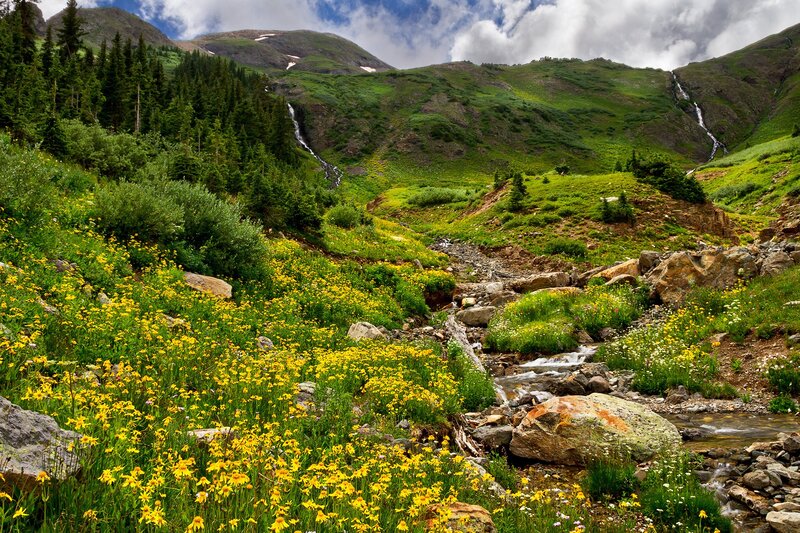 Mountain stream with wildflowers
