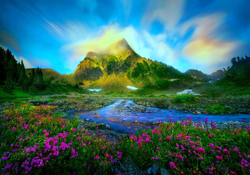 Mountain Stream with Wildflowers — Blue, Dramatic