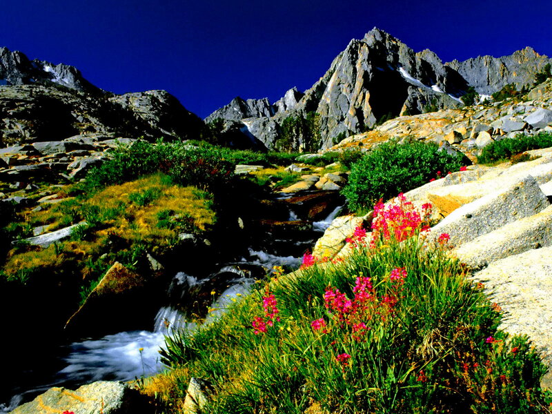 Mountain Stream with Wildflowers — Blue, Serene, Summer