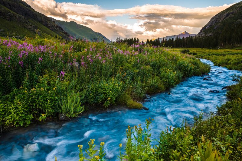 Mountain Stream with Wildflowers — Blue, Serene, Sunset