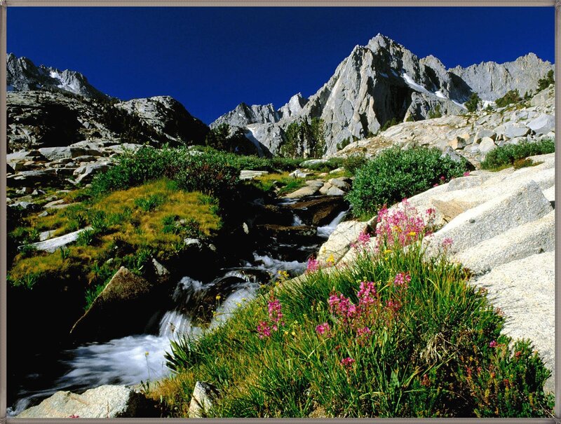 Mountain Stream with Wildflowers — Blue, Serene