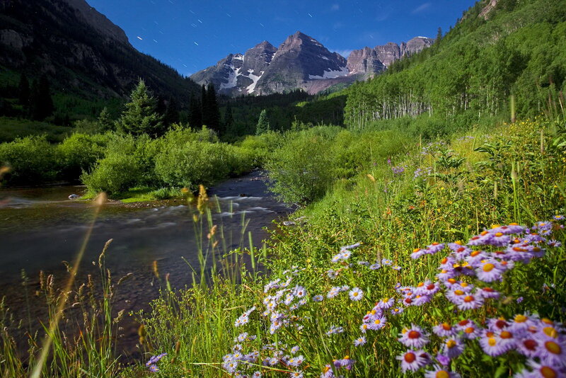 Mountain Stream with Wildflowers — Green, Serene, Night