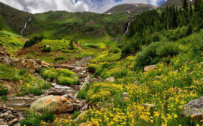 Mountain Stream with Wildflowers — Green, Serene, Summer, Photograph, Trees
