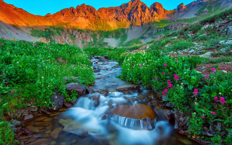 Mountain Stream with Wildflowers — Green, Serene, Sunset