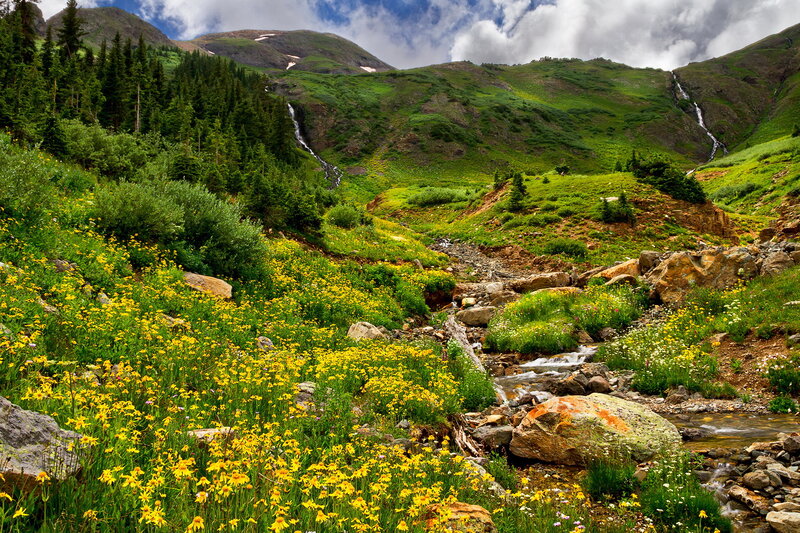 Mountain Stream with Wildflowers — Green, Serene