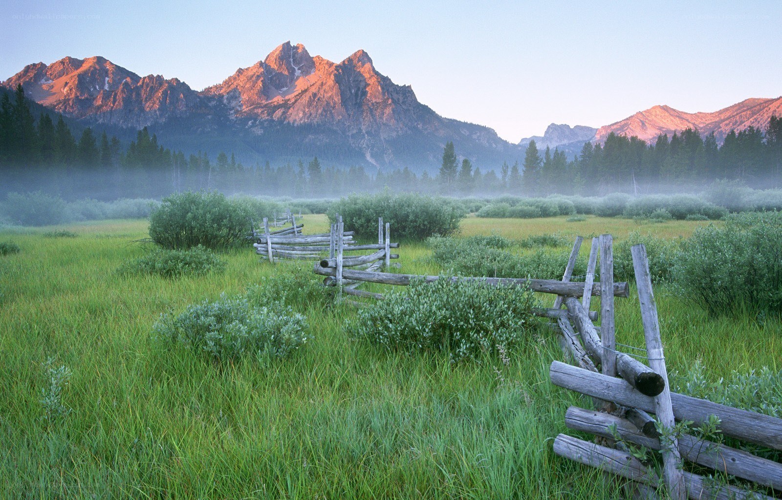 Mountain sunrise over a meadow