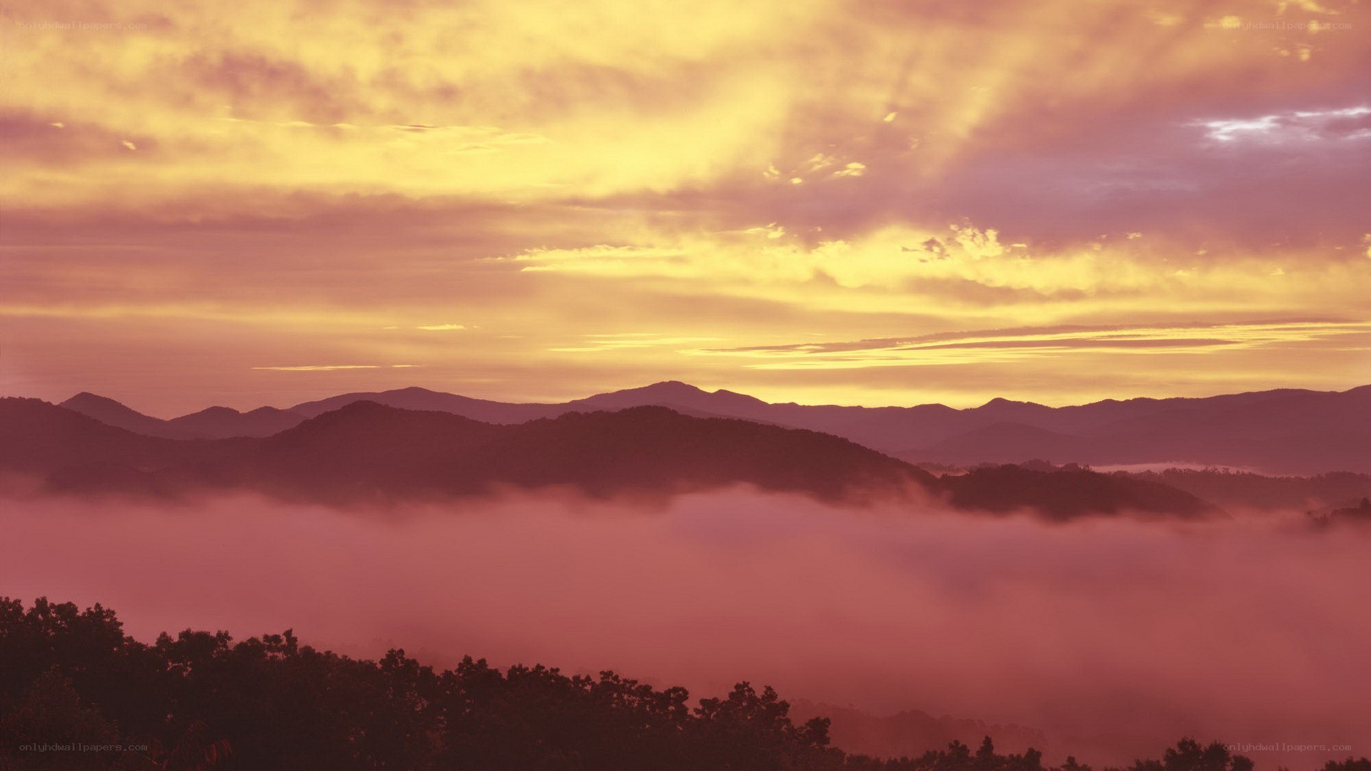 Mountain sunrise with fog