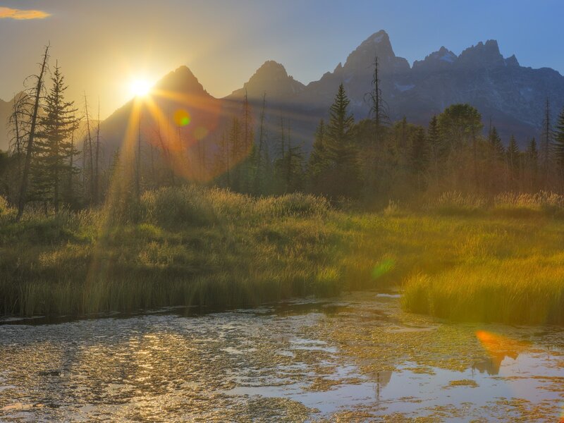 Mountain Sunset over Marsh — Gold