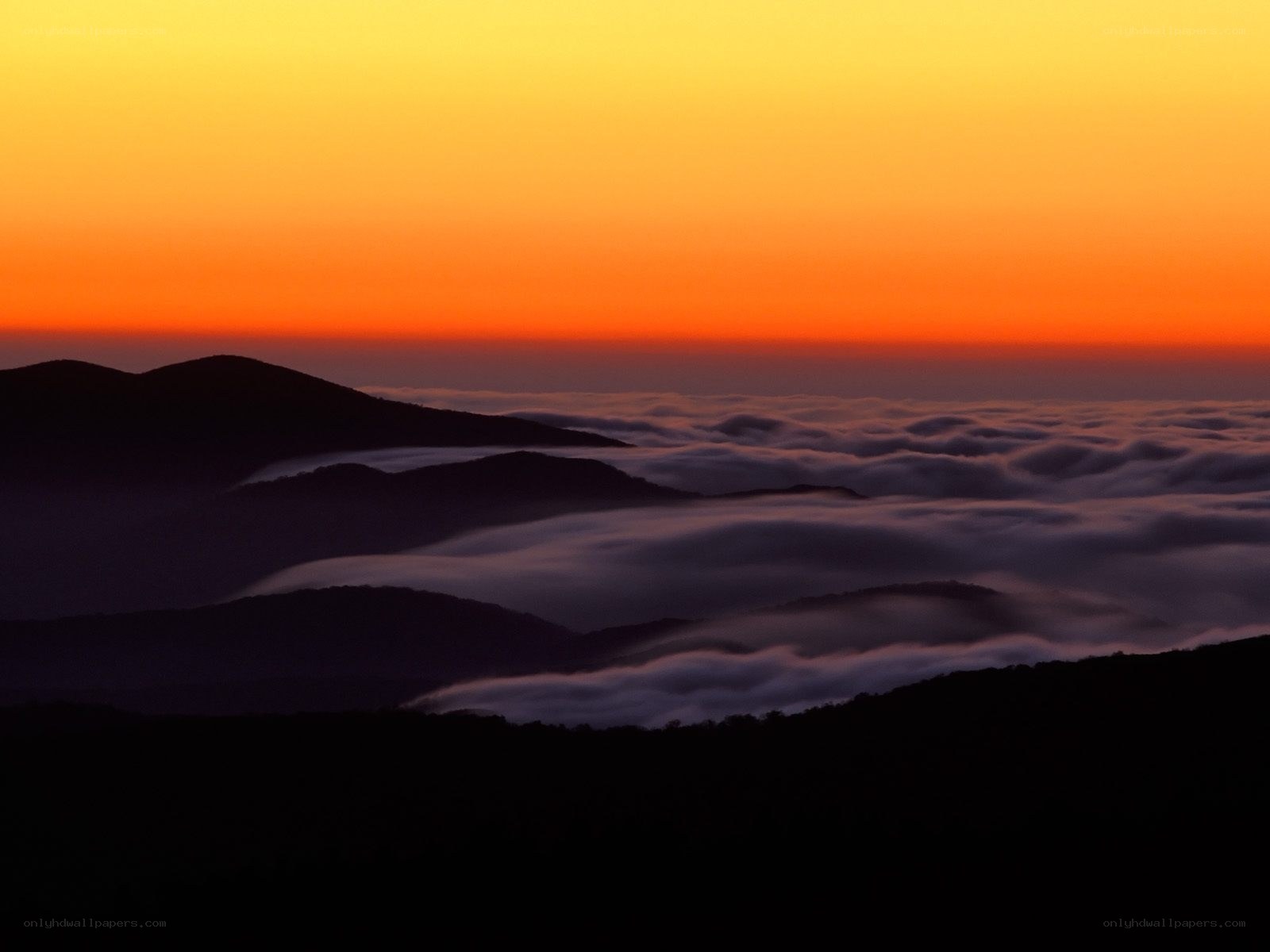Mountain sunset over sea of clouds