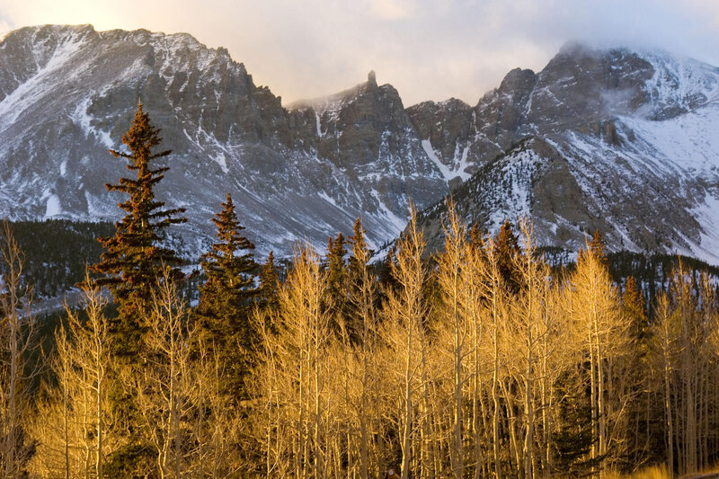 Mountain sunset with aspen trees