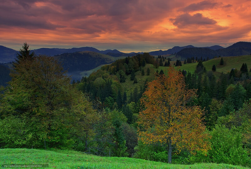 Mountain sunset with autumn trees
