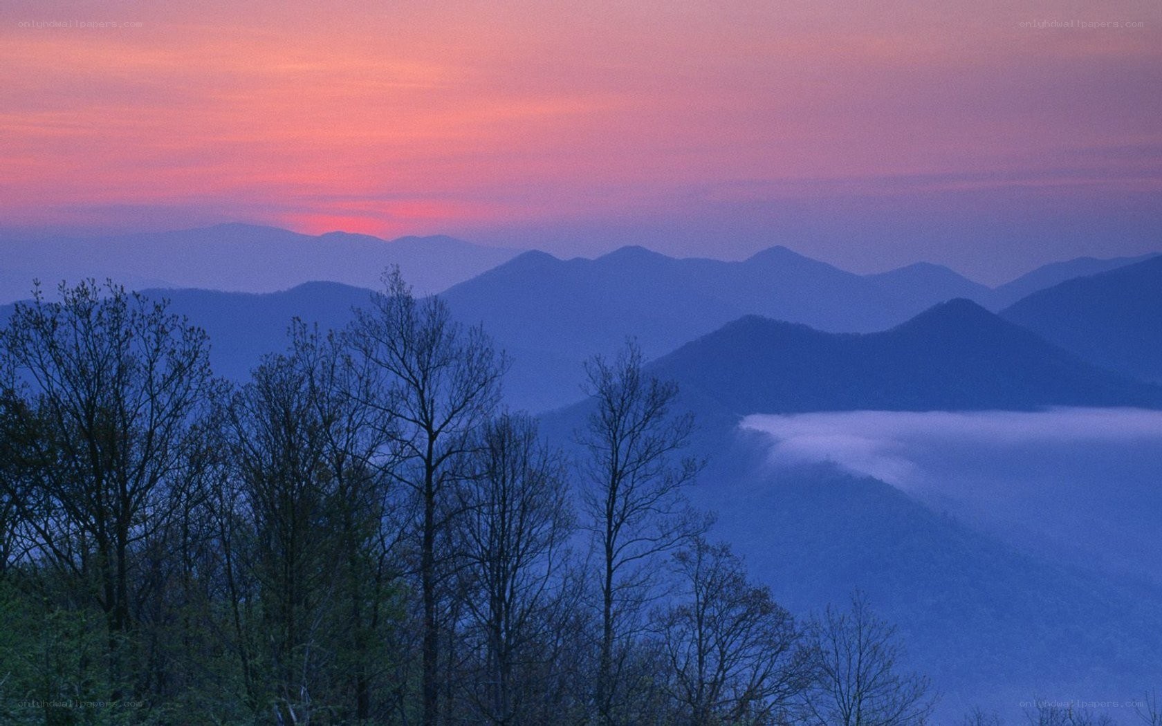 Mountain sunset with fog