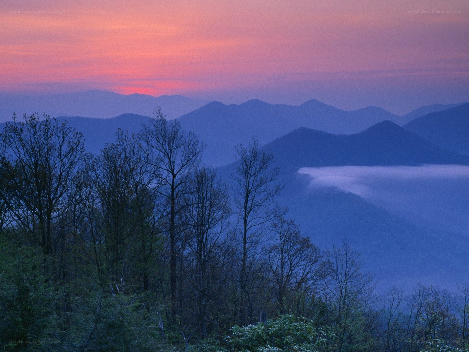 Mountain sunset with fog