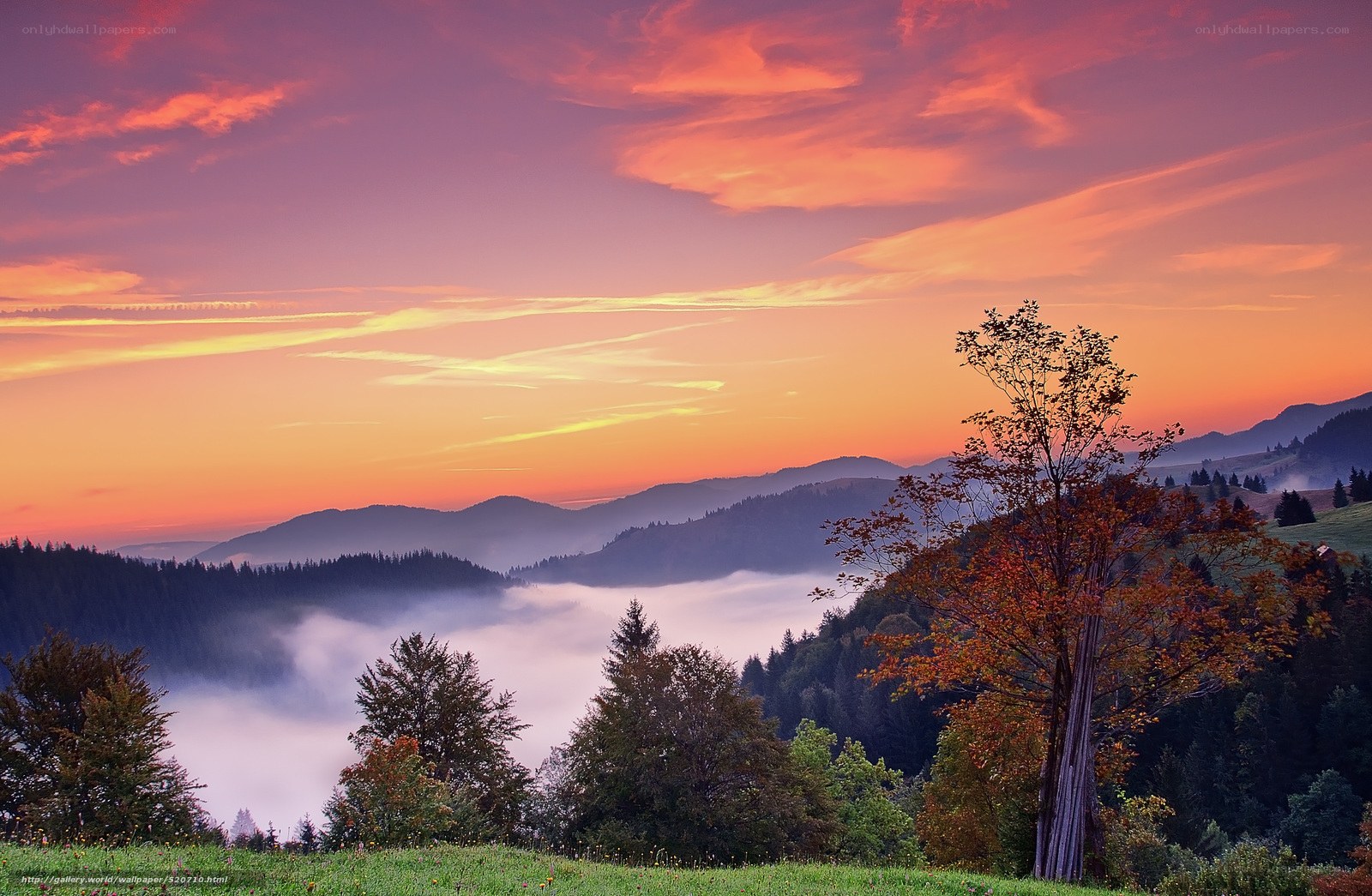 Mountain sunset with fog