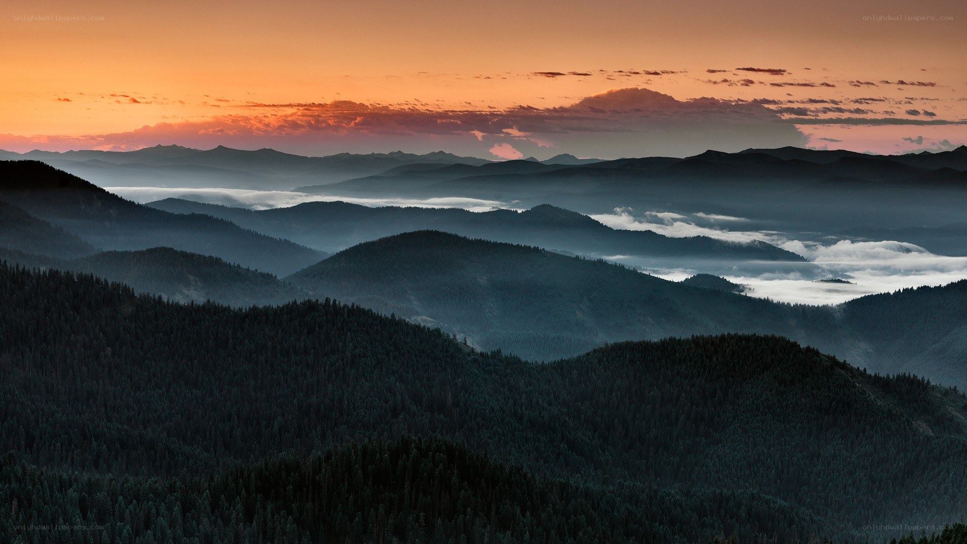 Mountain sunset with fog