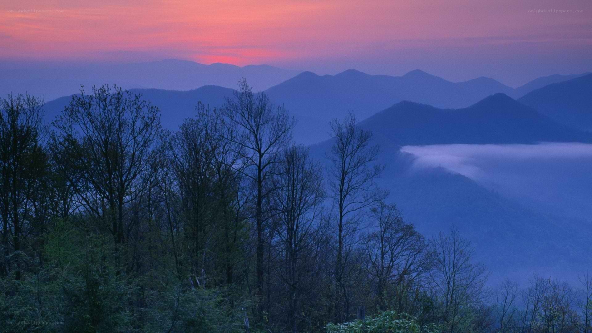 Mountain sunset with fog